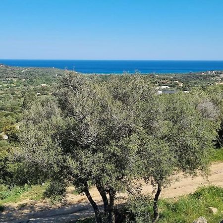 Charmant Petit Logement A 3 Kms De La Plage Belgodère Exterior foto
